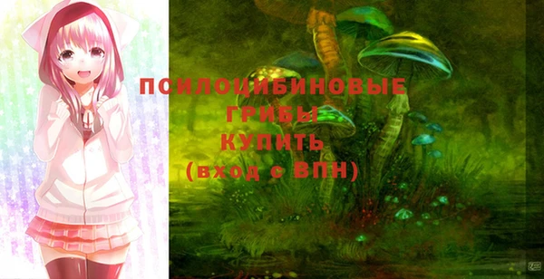 спайс Дмитров
