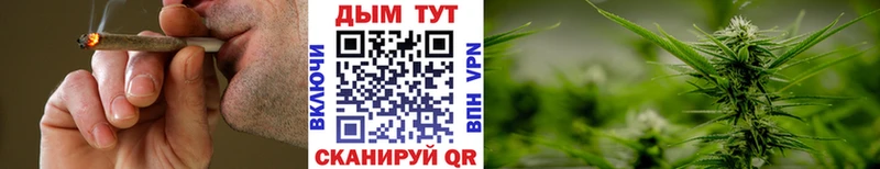 МАРИХУАНА сатива  кракен   Елабуга 